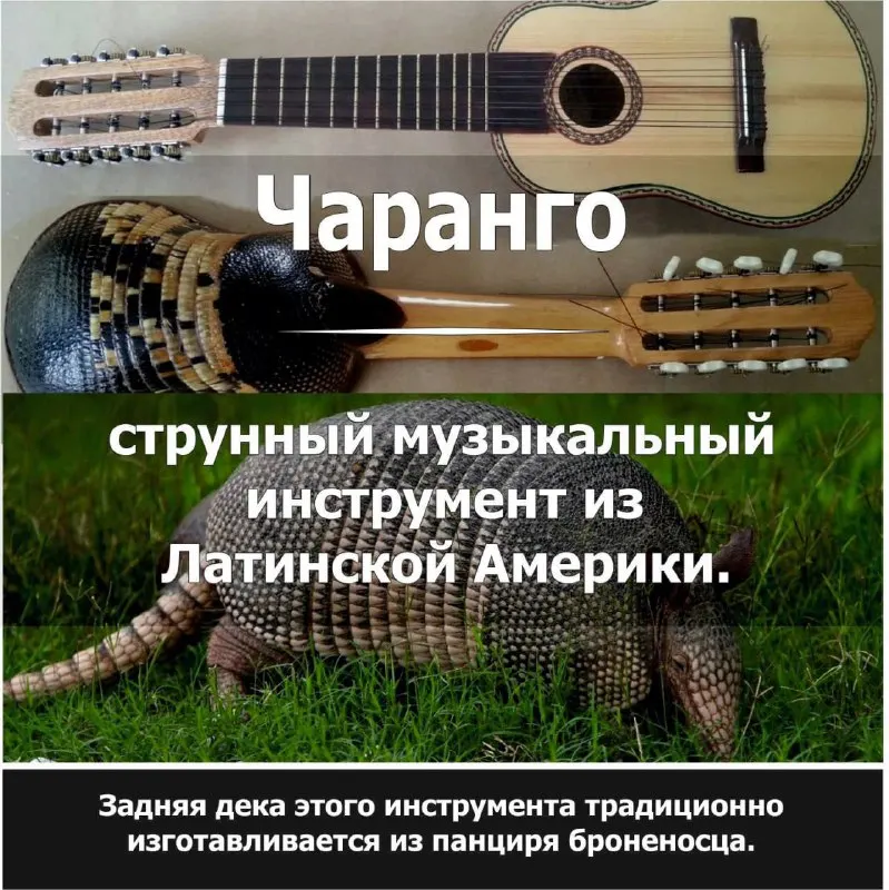 Пост канала «Факт Дня | Саморазвитие» от 28 ноября 2025 г.