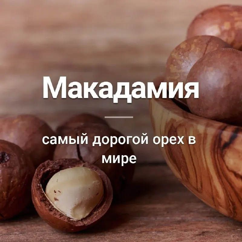 Пост канала «Факт Дня | Саморазвитие» от 29 ноября 2025 г.