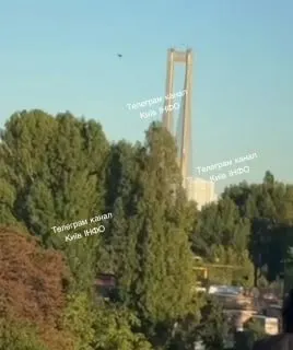 A post from falcon