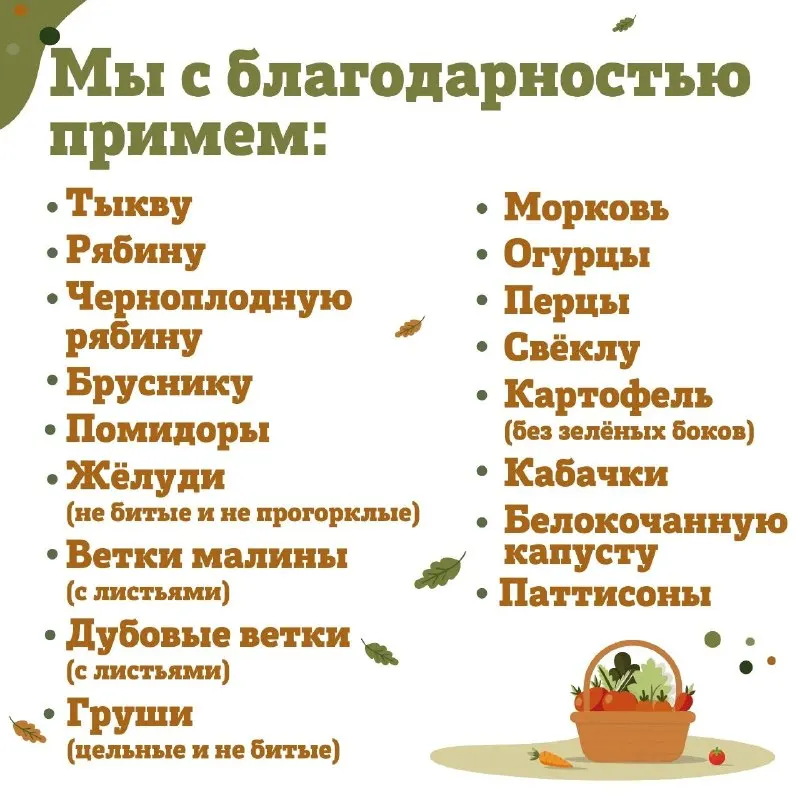 Пост из ЗвероПятница🐶🐱🐰🦊🐭🥹