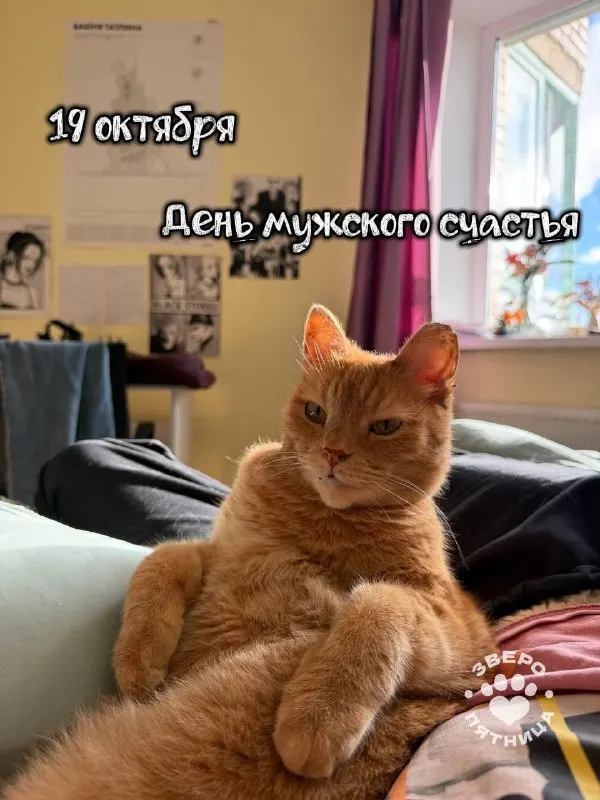 Пост из ЗвероПятница🐶🐱🐰🦊🐭🥹