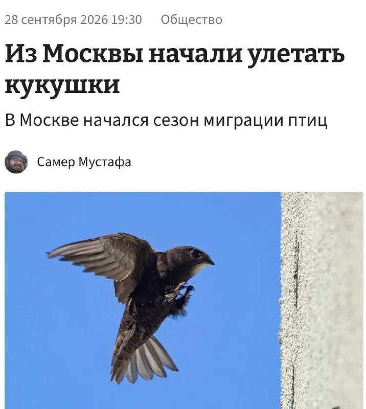 Пост канала «Bounds of Erotic Polymorphic Shitpost» от 30 сентября 2026 г.