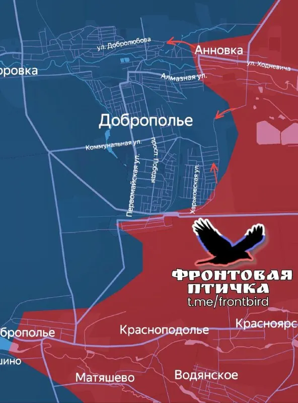Пост из Фронтовая птичка