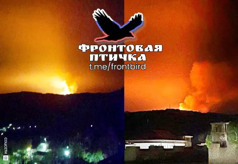 Пост из Фронтовая птичка