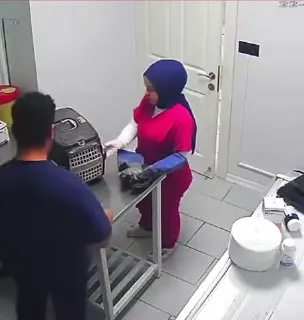 Post by “BEST FUNNY VIDEOS” from August 11, 2026