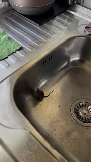 Post by “BEST FUNNY VIDEOS” from August 16, 2026