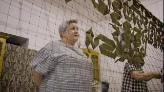Пост из ПриZрак Новороссии