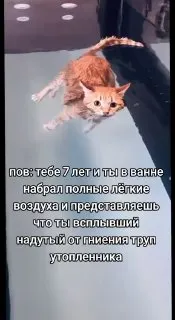 Post by “Алхимический щитпостинг в эмбриональной стадии развития” from September 30, 2026