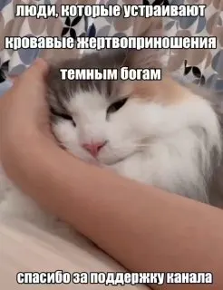 Post by “Алхимический щитпостинг в эмбриональной стадии развития” from September 30, 2026