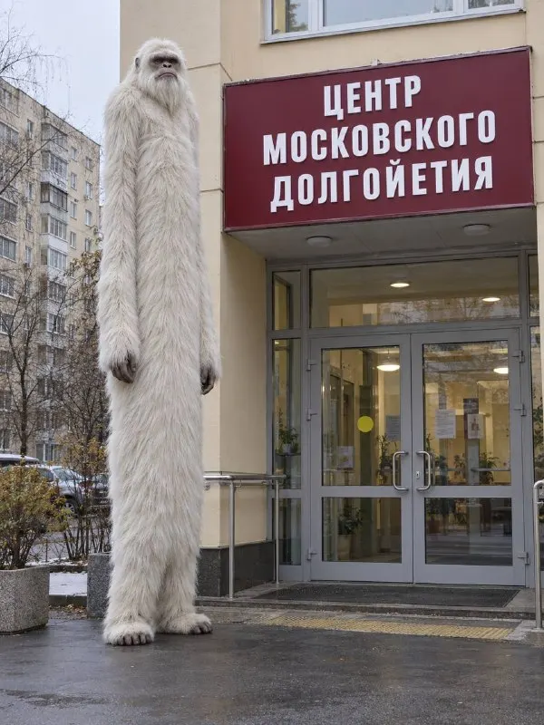 Пост канала «Густопсовые мемы» от 29 сентября 2026 г.
