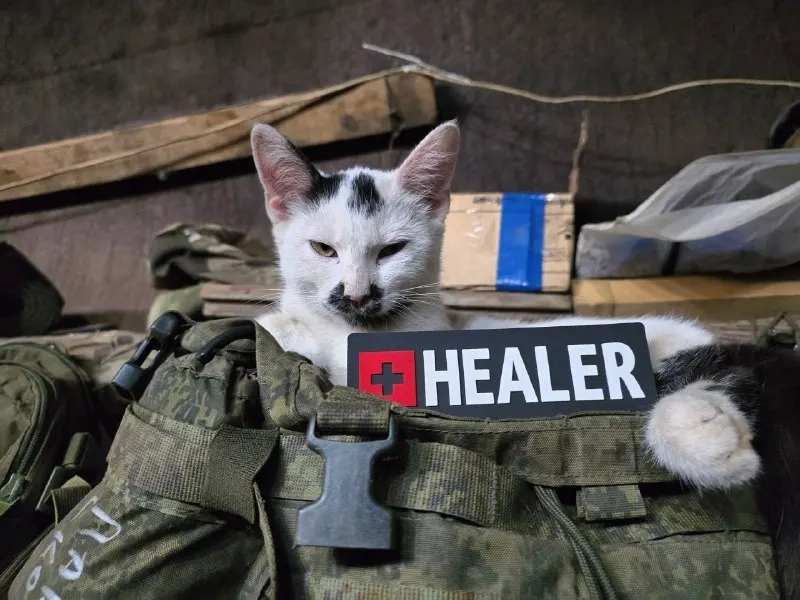 Пост канала «ХИЛЕР l HEALER» от 30 сентября 2026 г.