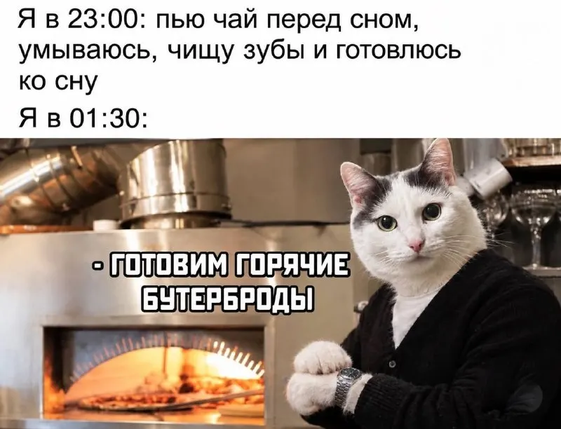 Пост канала «Hedonistcats» от 28 сентября 2026 г.