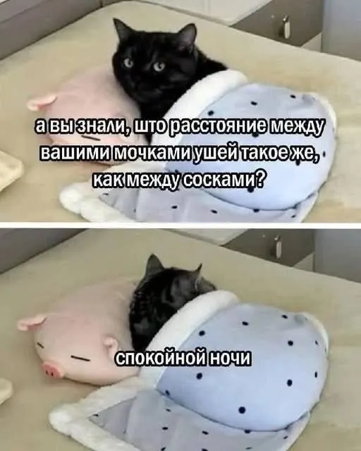 Пост канала «HornyFunny» от 30 сентября 2026 г.