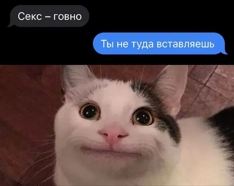 Пост канала «HornyFunny» от 1 октября 2026 г.