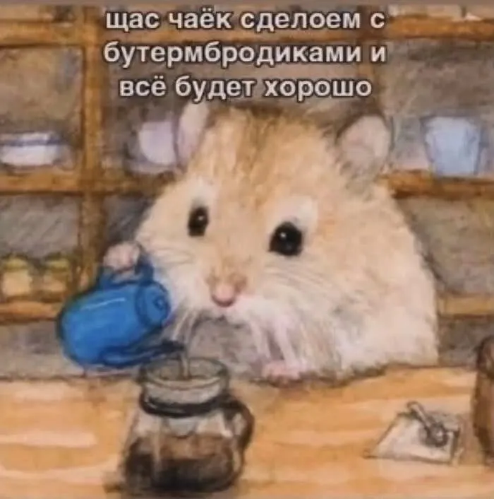 Пост канала «Howtowashacat» от 30 сентября 2026 г.