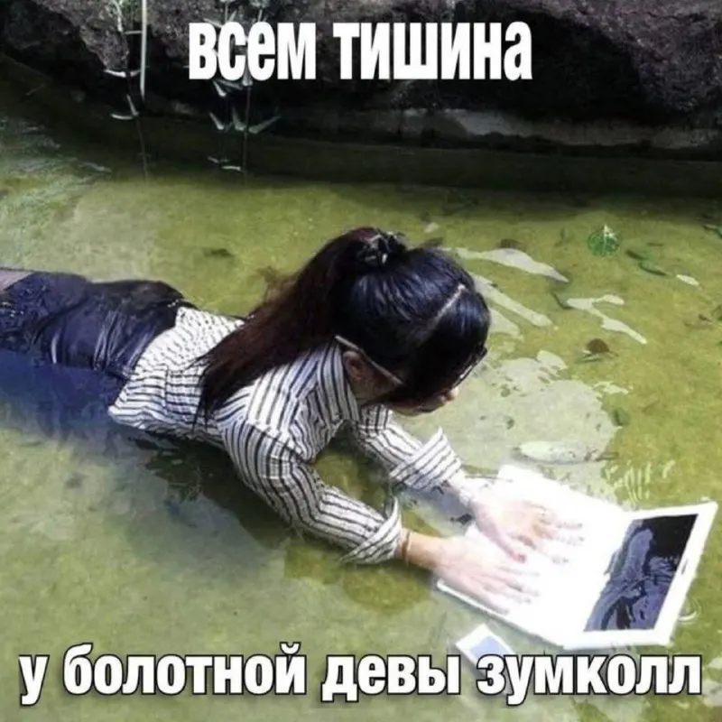 Пост канала «Howtowashacat» от 30 сентября 2026 г.