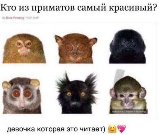Пост из Инде