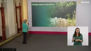 Пост канала «El Informador Global» от 30 сентября 2026 г.