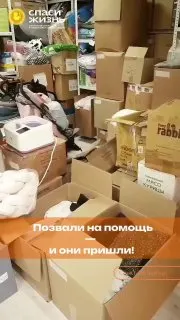 Пост канала «АНО "СПАСИ ЖИЗНЬ"» от 28 сентября 2026 г.