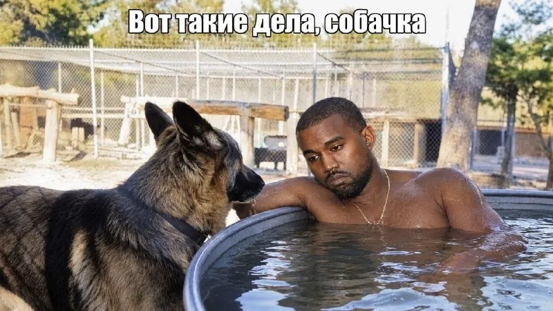 Пост канала «НАСТЕЖЬ» от 30 сентября 2026 г.