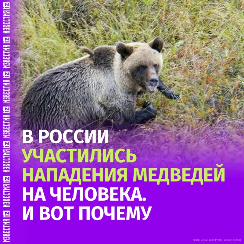 Пост из IZ.RU • ВАЖНОЕ