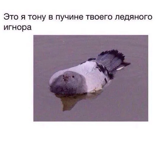 Post by “как в том меме помнишь” from September 30, 2026