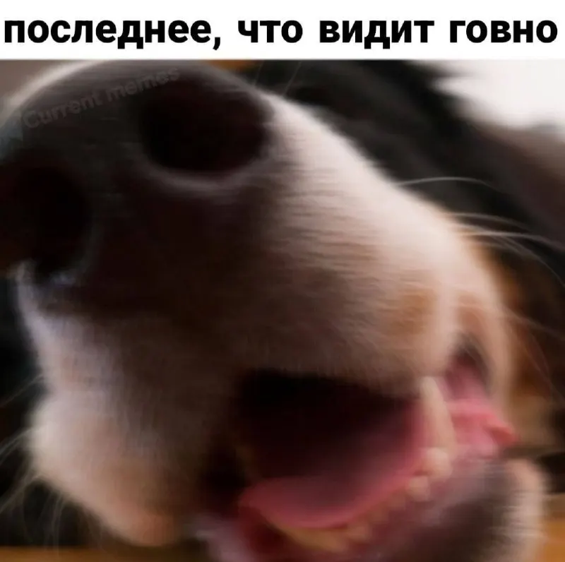 Post by “как в том меме помнишь” from September 30, 2026