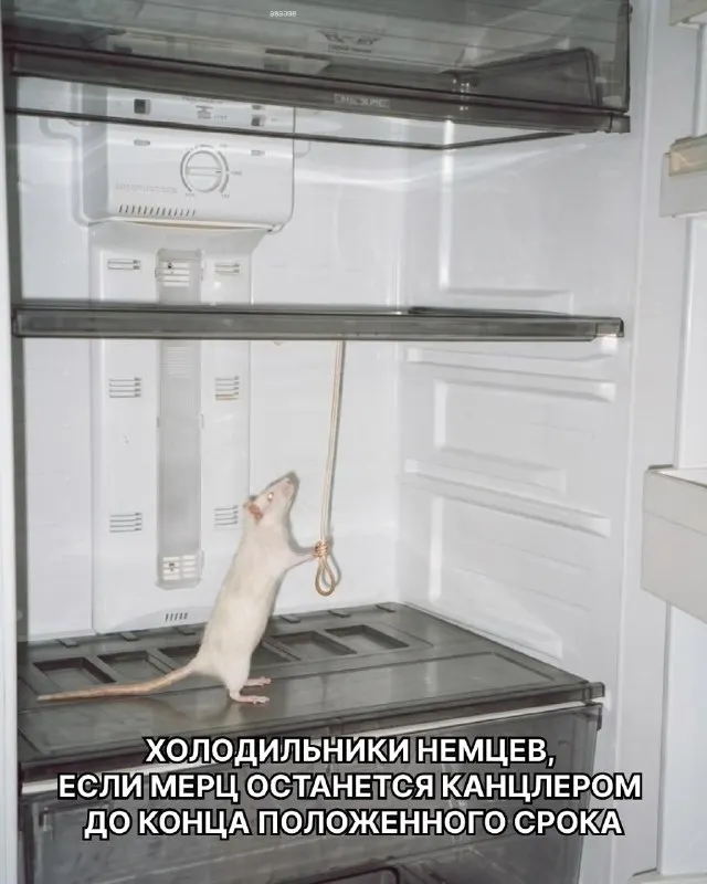 Пост из Папочка канцлера