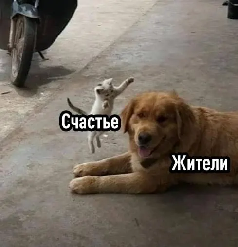 Post by “Картотека” from October 1, 2026