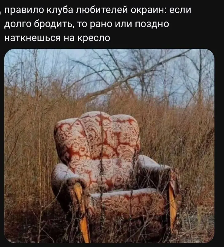 Пост канала «Каштанка» от 28 сентября 2026 г.