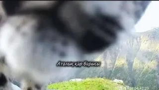 Пост из AsiaToday