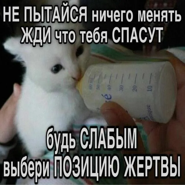 Пост канала «KMC» от 30 сентября 2026 г.