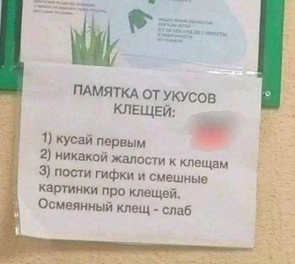 Пост канала «Царствие мемецкое» от 1 октября 2026 г.