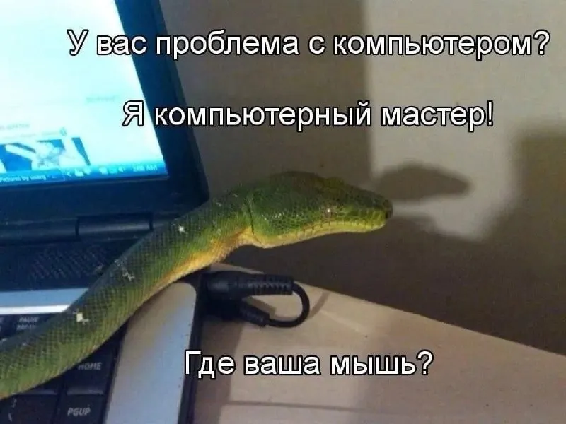 Пост канала «Царствие мемецкое» от 1 октября 2026 г.