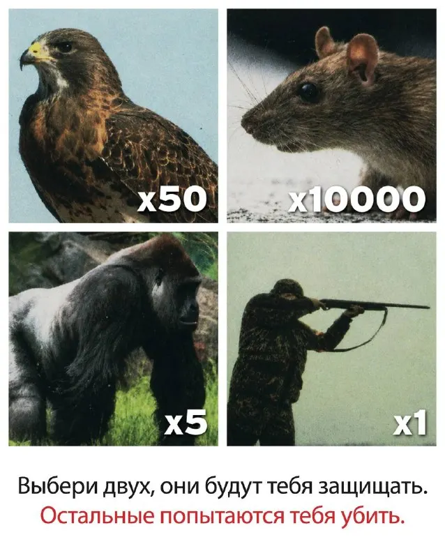 Пост канала «КиноПёс» от 24 сентября 2026 г.