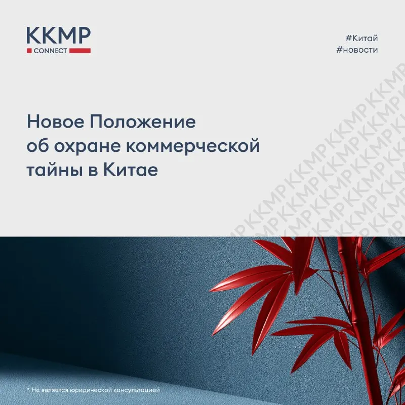 Пост канала «ККМП.connect» от 21 сентября 2026 г.
