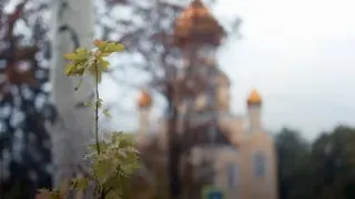 Пост канала «Антон Кольцов глава Мариуполя» от 30 сентября 2026 г.