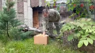 Пост из КОМАНДА НОВОСТЕЙ