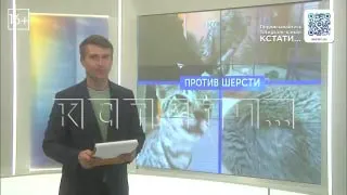 Пост канала «Кстати... Новости Нижнего Новгорода.» от 30 сентября 2026 г.