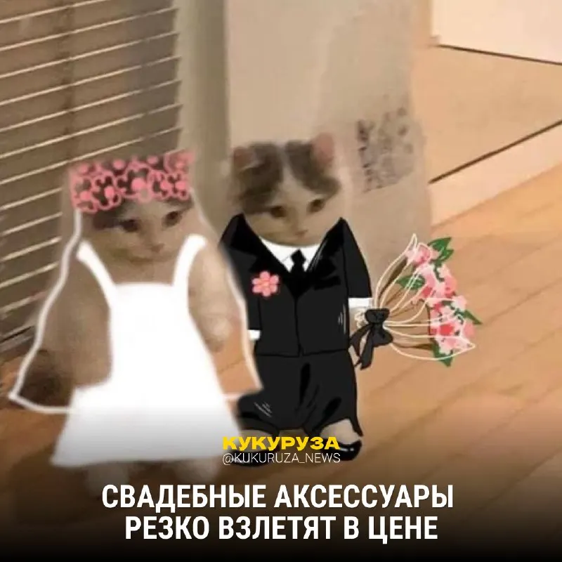 Пост из Кукуруза | Новости Екатеринбурга и России