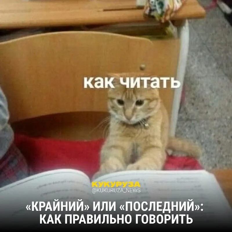 Пост из Кукуруза | Новости Екатеринбурга и России