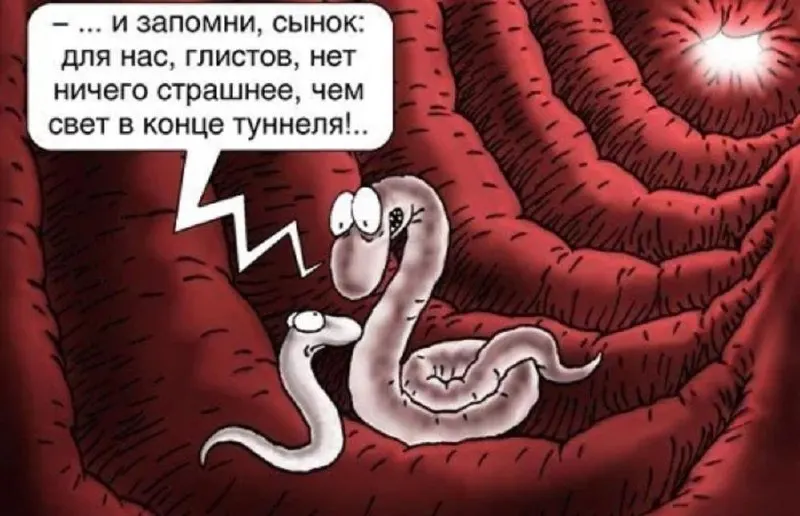 Пост канала «Хохлов | Про отношения в кайф» от 1 октября 2026 г.