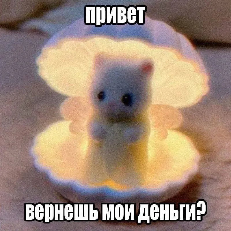 Пост канала «La Qeque» от 30 сентября 2026 г.