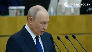 Пост канала «Наши слоны» от 30 сентября 2026 г.