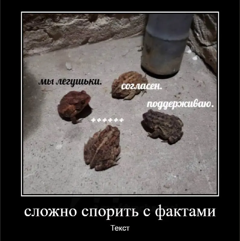 Пост канала «Уютненькое Луркоморье | Lurkopub» от 30 сентября 2026 г.