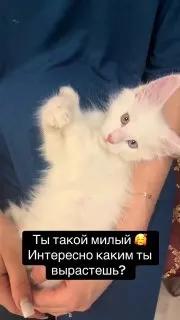 Пост канала «Уютненькое Луркоморье | Lurkopub» от 30 сентября 2026 г.