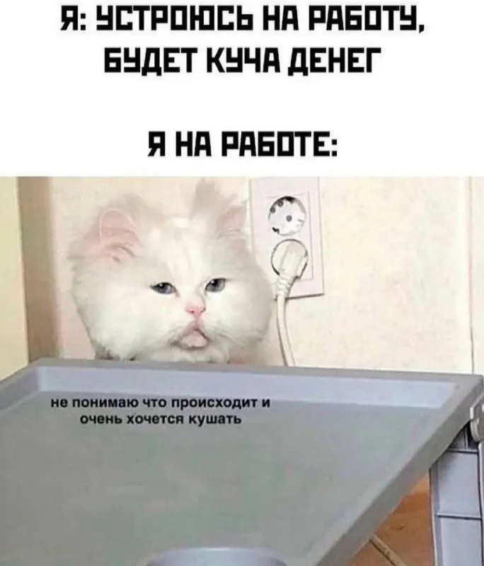 Пост канала «луша не клуша» от 30 сентября 2026 г.