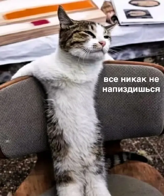 Пост канала «Шизобазис «Мурзилка»» от 30 сентября 2026 г.