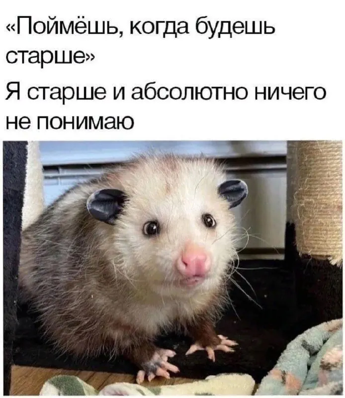 Post by “Мамкина булка” from September 30, 2026