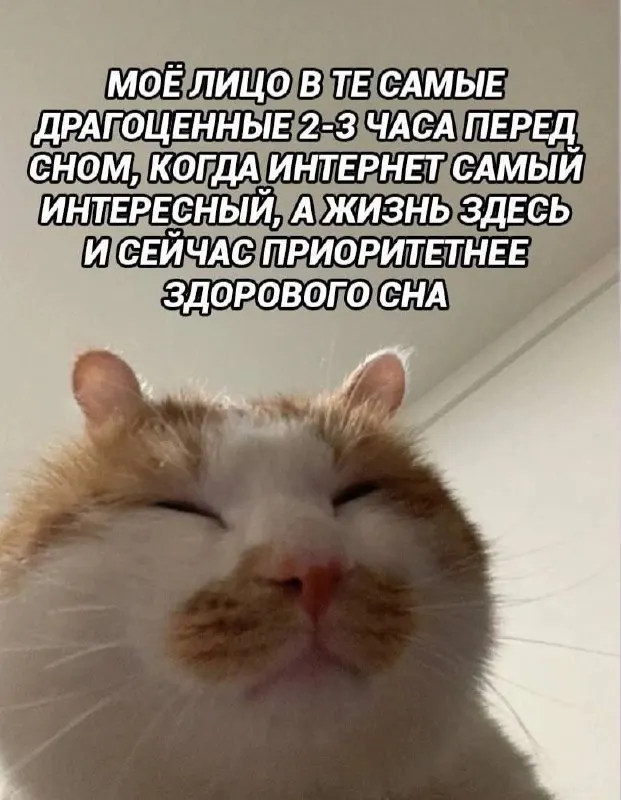 Post by “Мамкина булка” from September 30, 2026